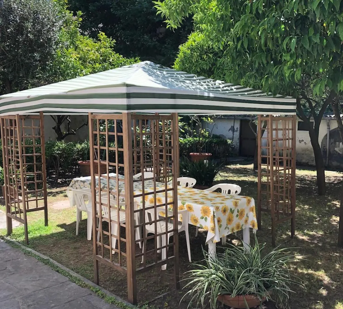 Appartamento Con Giardino Nel Cuore Di Viareggio